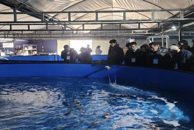 갯벌장어 양식장 견학(사진은 기사 내용과 직접 관련 없음). 어촌어항공단 제공