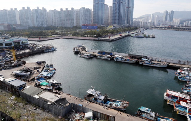 악취 문제가 지속적으로 발생하고 있는 부산 남구 용호만 일대. 부산일보DB