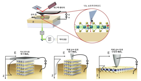 (그림1) 전도성 원자힘 현미경을 활용한 나노 쇼트키 다이오드의 구현. 접촉 면적과 MoS₂ 두께에 따른 밴드 정렬의 비교