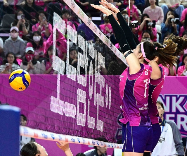 한돈 전문식품 브랜드 도드람이 2017년 한국배구연맹(KOVO)과 축산업계 최초로 프로배구 타이틀 스폰서 계약을 체결한 이후, 8시즌 연속 브이리그와 동행하며, 브랜드 인지도와 경제적 가치를 크게 높였다고 8일 밝혔다. 도드람 제공