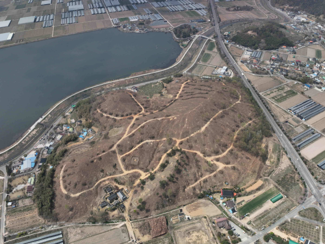 소나무재선충병 예방을 위해 수종 전환 사업이 진행중인 경남 밀양시 초동면 신호리 야산. 밀양시 제공