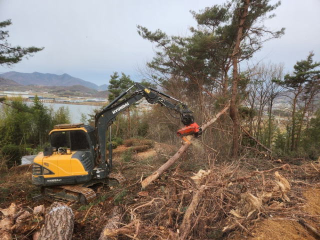 소나무재선충병 수종 전환 사업이 진행중인 경남 밀양시 초동면 신호리 야산. 밀양시 제공