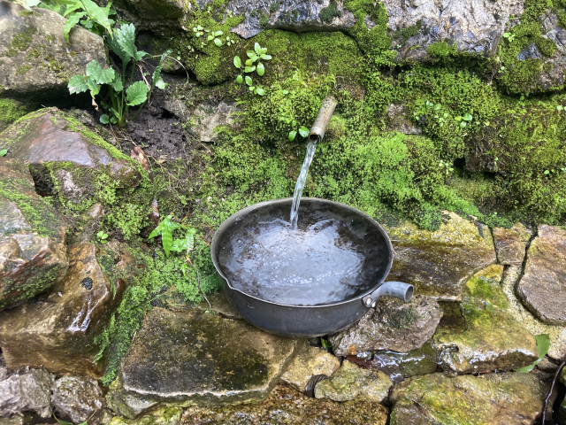 금백종주 곳곳의 샘터는 생명수다. 사진은 갑오봉 아래 장군샘. 수량이 풍부하고 물맛도 좋다.