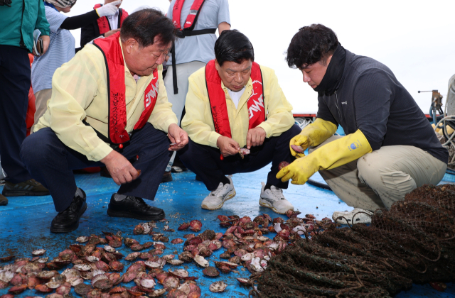 최근 고성군 자란만에 있는 굴·가리비 양식장에서 빈산소수괴 피해가 확산하고 있다. 현재까지 확인된 피해 규모만 51개소, 91어가, 130h다. 이들 어장에선 가리비는 90% 이상, 굴은 60% 상당이 알맹이는 사라진 채 껍데만 남았다. 피해 어장을 찾은 이상근 군수와 최을석 군의회 의장이 실태를 확인하고 있다. 고성군 제공