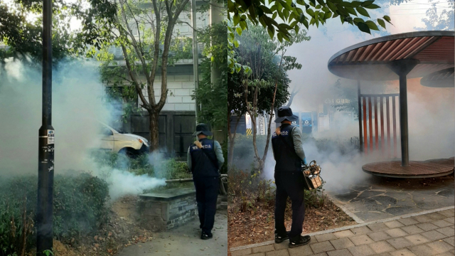 9월 1주 차 부산 지역 모기 채집 수가 8월 한 주 평균보다 약 27% 증가한 것으로 나타났다. 사진은 9일 영도구청이 모기 방역에 나선 모습. 영도구청 제공