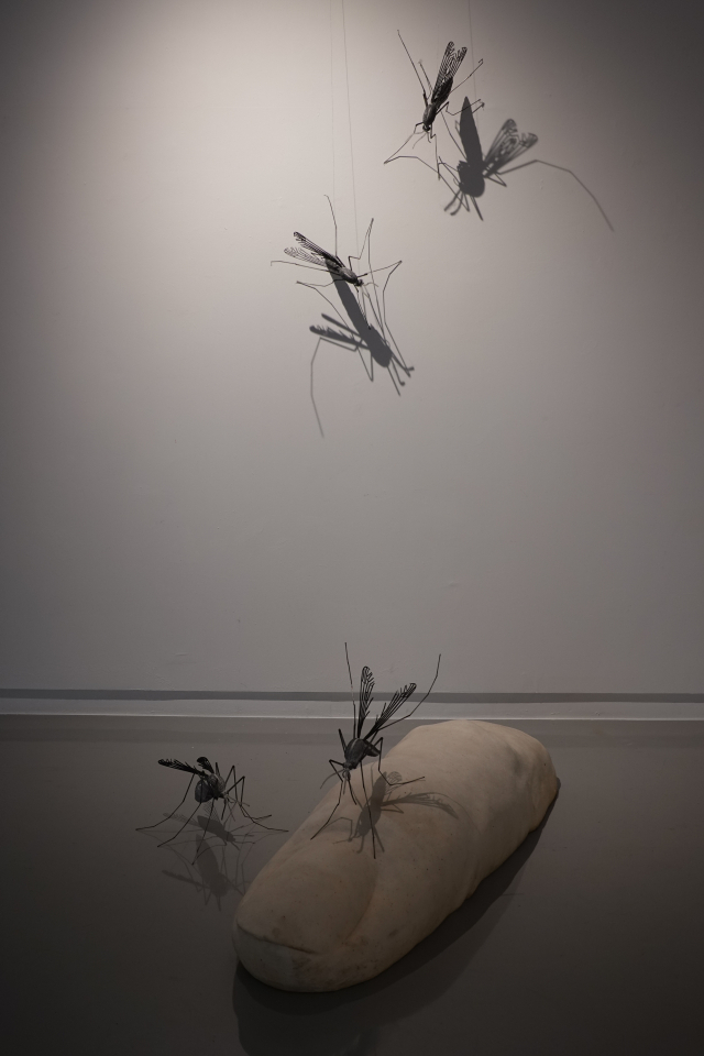 특정 신체 부위가 모기에 물렸을 때의 작은 성가심을 표현한 작품들이 익살스럽다.