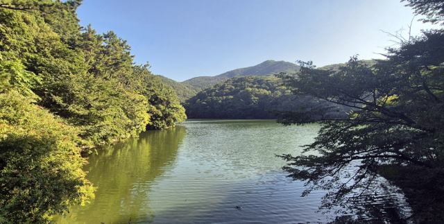 한때 부산 시민이 마신 식수를 공급했던 성지곡수원지. 지금은 도심 힐링 공간으로 인적이 끊이지 않는다.