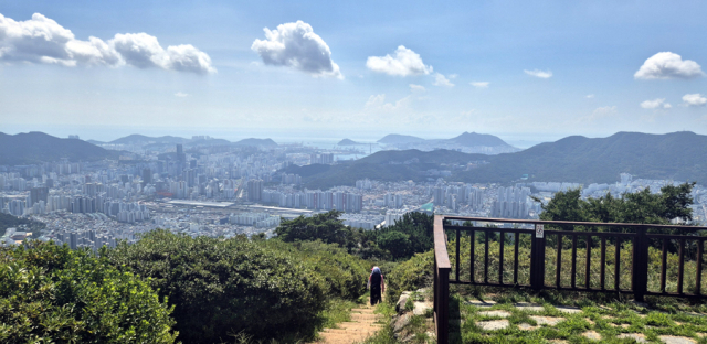 애진봉에서 바라본 부산 도심 풍경. 4~5월이면 이곳에 철쭉 천지이다.