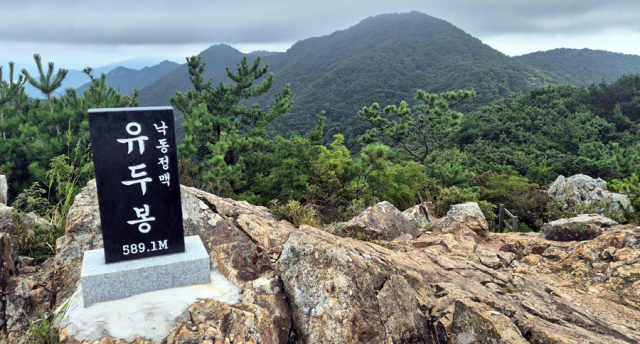 낙동정맥인 유두봉에서 바라본 백양산.