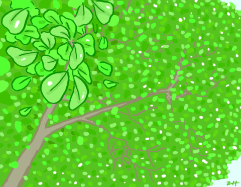 [공감] 좋아한다는 말