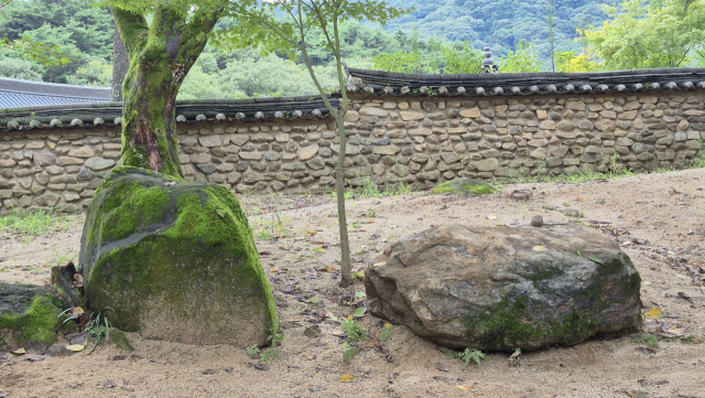 사명대사가 부모를 잃고 방랑하다 잠시 누워 잠들었다는 바위. 남태우 기자