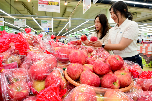 농협유통 관계자들이 지난달 26일 추석 대표 제수용 과일인 홍로 품종 햇사과를 살펴보고 있다. 농협유통 제공