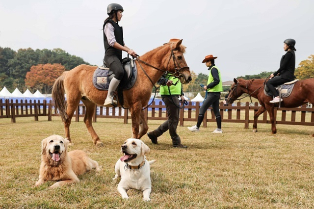 청명한 하늘과 선선한 바람이 어우러지는 가을은 말과 함께 호흡하며 달리기에 가장 적합한 계절이다. 한국마사회는 가을을 맞아 다양한 승마 프로그램과 체험 기회를 제공해 국민들에게 새로운 즐거움을 주고 있다. 한국마사회 제공