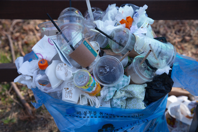 클립아트코리아