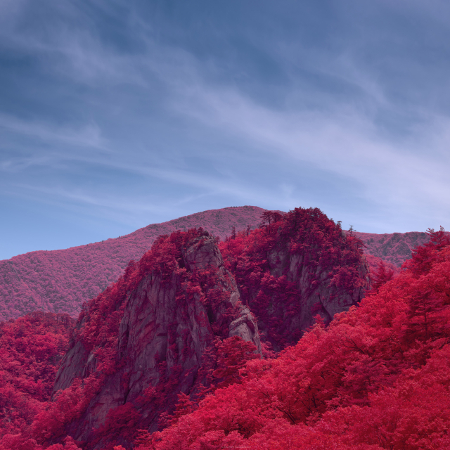 박진하 작품. 부산국제사진제 제공