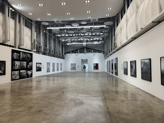 부산국제사진제 주제전 ‘혼 불, 심연의 빛' 전시 전경. 김은영 기자 key66@