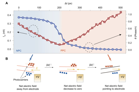 초고속 광전류 분광법을 통한 음성 광전도(negative photoconductivity)에서 양성 광전도(positive photoconductivity)로의 가역적 전환이 피코초 단위에서 발생.