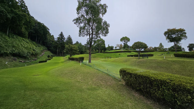 노카미후레아이공원 내에 조성된 산지형 파크골프장 전경. 김태권 기자