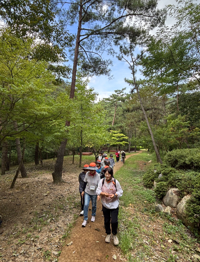 산림치유는 자연에서 오감을 열고 내면으로의 여행을 강조한다. ‘부산치유의숲’에서 운영 중인 산림치유 프로그램에 참여한 참가자들. 윤여진 기자