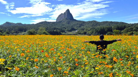 마, 이 산이 가을 풍경 맛집이네