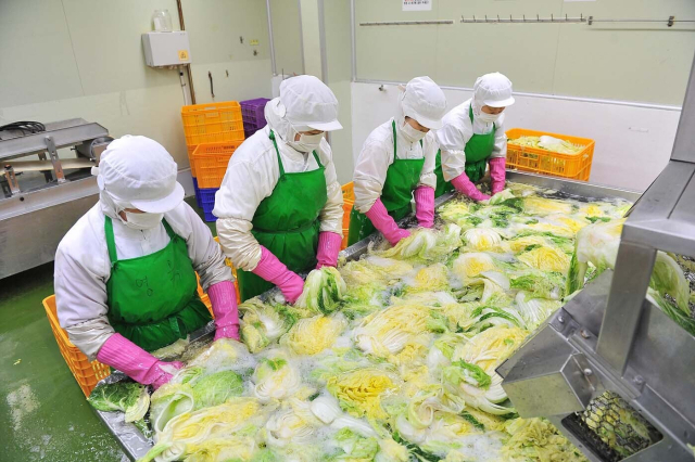 쿠팡에 입점한 경남 김해 김치제조사 '모산에프에스' 직원들이 작업하고 있다. 쿠팡 제