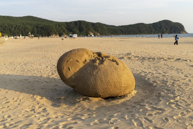 지븨 리& 필립 씨. 라이너 ‘편린들: 바닷물결의 기억’(2025). 부산비엔날레조직위원회 제공