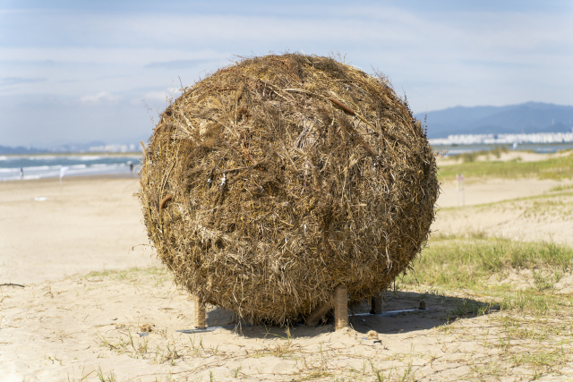 오미자 ‘공굴리기’(2025). 부산비엔날레조직위원회 제공