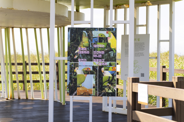 아트-베르크 × (리)커넥팅.어스 공동 작업. 부산비엔날레조직위원회 제공