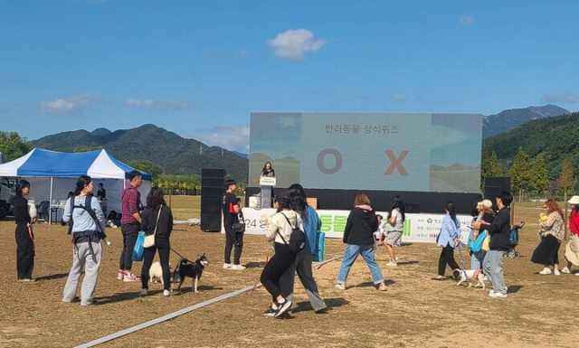 지난해 개최된 반려동물 문화축제에 참여한 반려인이 OX 퀴즈를 풀고 있다. 양산시 제공