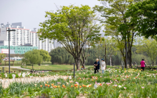 태화강국가정원 내 자연주의정원의 봄 풍경. 울산시 제공