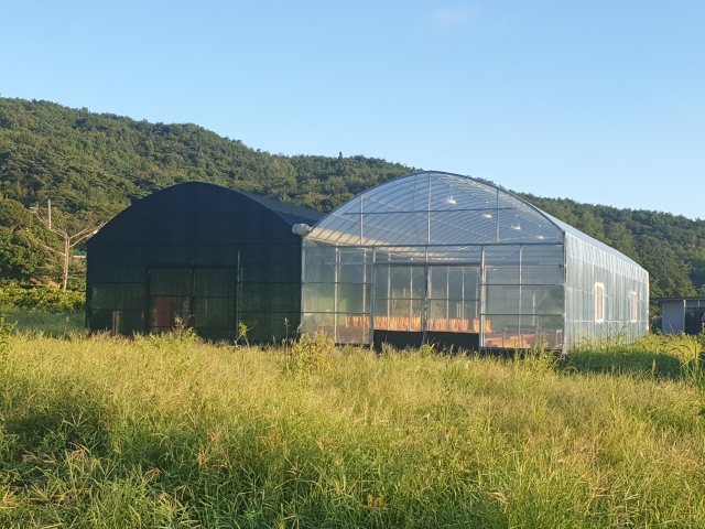 전시관으로 활용될 대형 비닐하우스. 웅천 국제 아트페스타 제공
