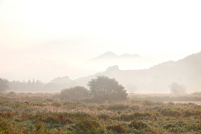 전국 생태관광협의체가 지난 17~18일 경남 김해시 화포천습지 일대에서 ‘2025년 생태관광세미나와 생태마당 축제’를 진행했다. 이번 행사에는 생태관광지정지역 지역협의체 관계자 80여 명이 참여해 공동체 회복, 자연과의 공존이라는 공동 목표를 두고 소통하는 시간을 가졌다. 김해시 제공
