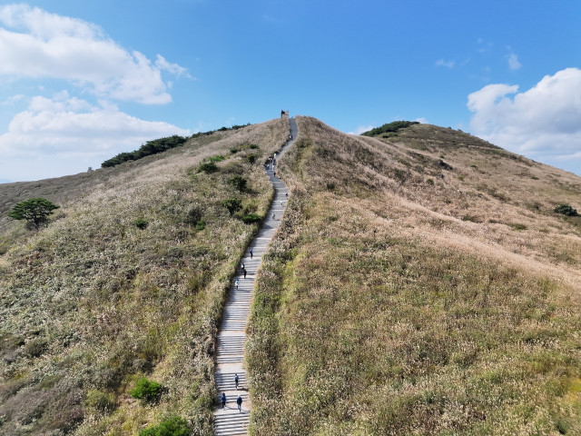 20일 합천 황매산 황매평원 전경. 산 전체가 억새 은빛으로 물들었다. 합천군 제공