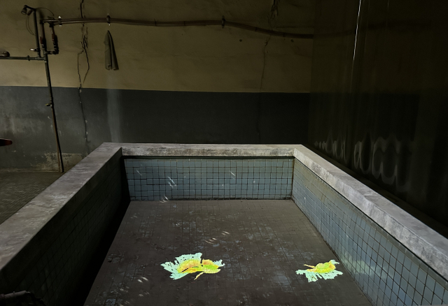 2층 전시 공간인 폐목욕탕에서 만날 수 있는 송지훈 작가의 ‘정화’ 영상 작업. 김은영 기자key66@