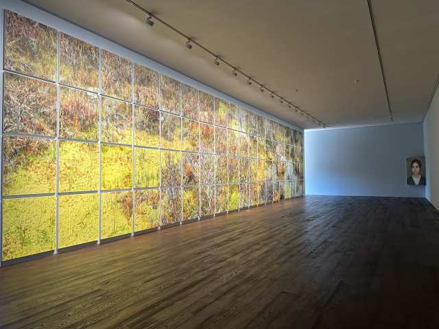 이광호 개인전 ‘시선의 흔적’ 설치 전경. 김은영 기자 key66@