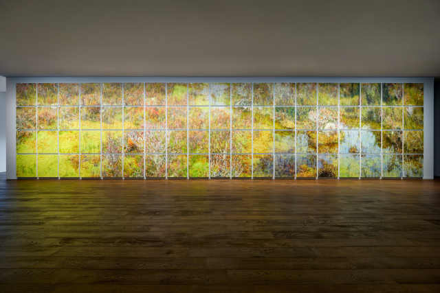 이광호 개인전 ‘시선의 흔적’ 설치 전경. 조현화랑 제공