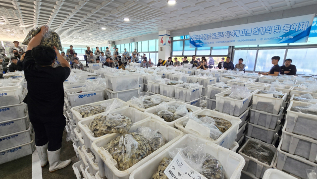 싱그러운 바다 향을 머금은 ‘굴’의 계절이 돌아왔다. 국내 최대 생굴 생산자 단체인 굴수하식수협은 23일 ‘2025년 생굴 초매식 및 풍어제’를 열었다. 초매식은 위판장 개장을 알리는 첫 경매 행사다. 이날 10kg들이 알굴 5800여 상자가 매물로 나와 8~9만 원 선에 낙찰됐다. 김민진 기자