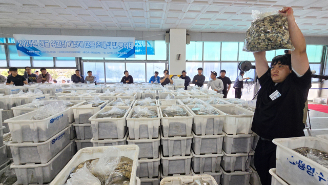 싱그러운 바다 향을 머금은 ‘굴’의 계절이 돌아왔다. 국내 최대 생굴 생산자 단체인 굴수하식수협은 지난 10월 23일 ‘2025년 생굴 초매식 및 풍어제’를 열었다. 초매식은 위판장 개장을 알리는 첫 경매 행사다. 이날 10kg들이 알굴 5800여 상자가 매물로 나와 8~9만 원 선에 낙찰됐다. 김민진 기자