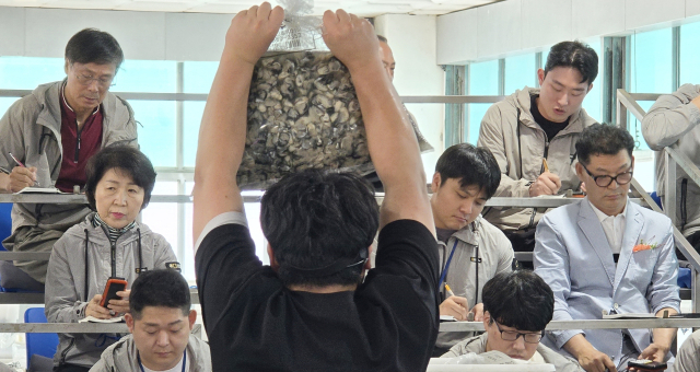 지난해 열린 2025년 생굴 초매식. 부산일보DB