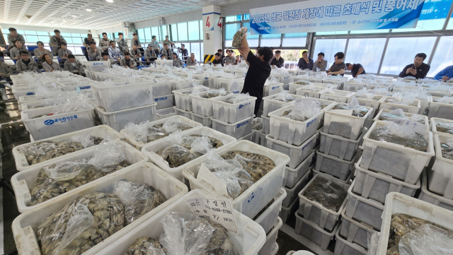 싱그러운 바다 향을 머금은 ‘굴’의 계절이 돌아왔다. 국내 최대 생굴 생산자 단체인 굴수하식수협은 지난 10월 23일 ‘2025년 생굴 초매식 및 풍어제’를 열었다. 초매식은 위판장 개장을 알리는 첫 경매 행사다. 이날 10kg들이 알굴 5800여 상자가 매물로 나와 8~9만 원 선에 낙찰됐다. 김민진 기자