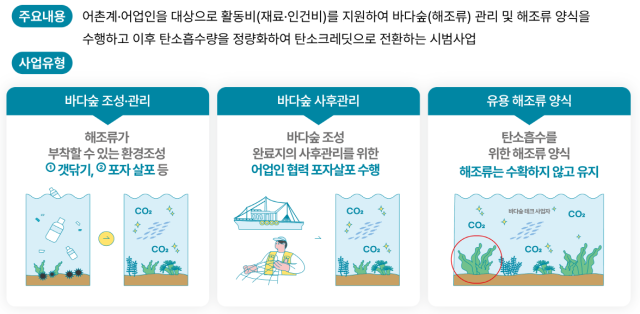 ‘어업인 블루크레딧 시범사업’ 설명자료. 수산자원공단 제공