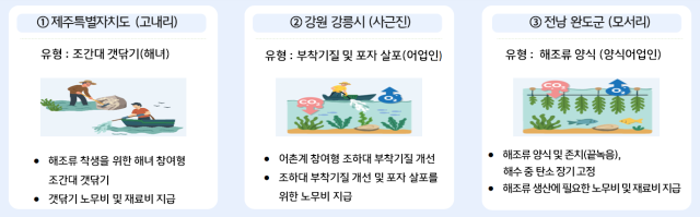 ‘2025년 어업인 참여 블루크레딧 시범사업’ 참여유형. 수산자원공단 제공