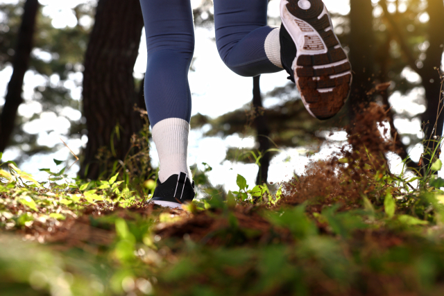 클립아트코리아