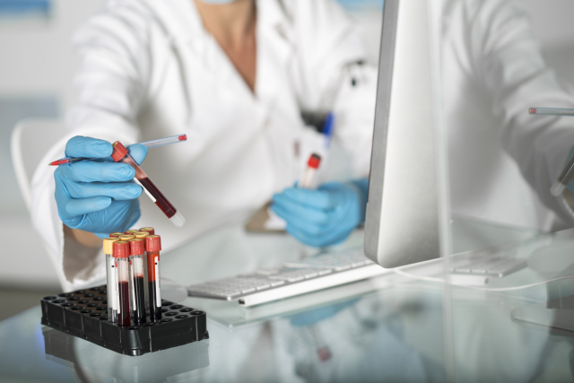 클립아트코리아