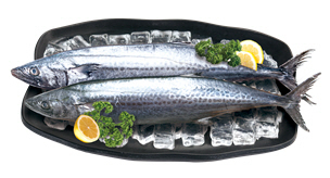 11월 이달의 수산물로 선정된 삼치. 해수부 제공