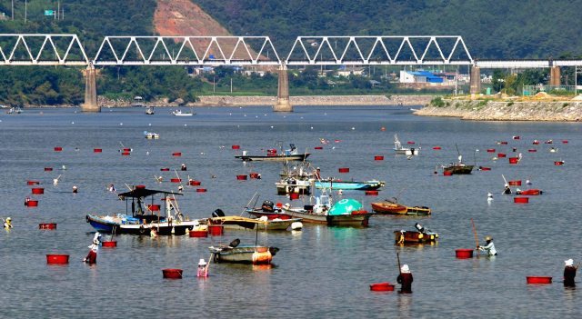 섬진강 재첩잡이 손틀어업 전경. 해수부 제공