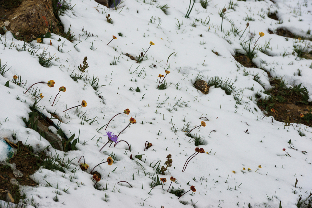 정금희, 2015 칭하이성. 부산갤러리 제공