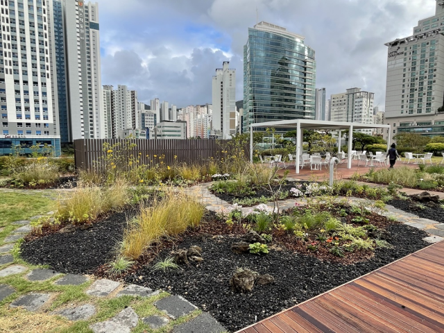 부산시청 4층 옥상정원이 재정비를 마치고 시민에게 개방된다. 부산시 제공