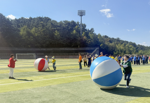 체육대회에서 큰 공 굴리기 경기를 하고 있다.