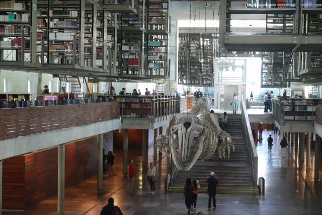 오로스코의 고래 골격 조형물. 이상훈 제공